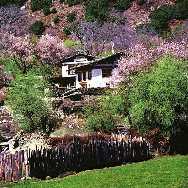 2015嘎拉村桃花节时间_2015嘎拉村桃花节门票